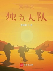 亮剑之独立大队封面图片